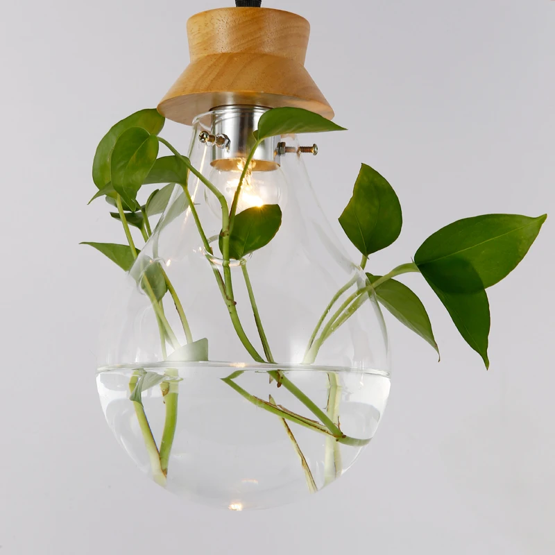 Модерни дизайнерски стъклени плафониери Свеж градински саксия ресторант магазин висящи лампи Витрина висящи лампи4